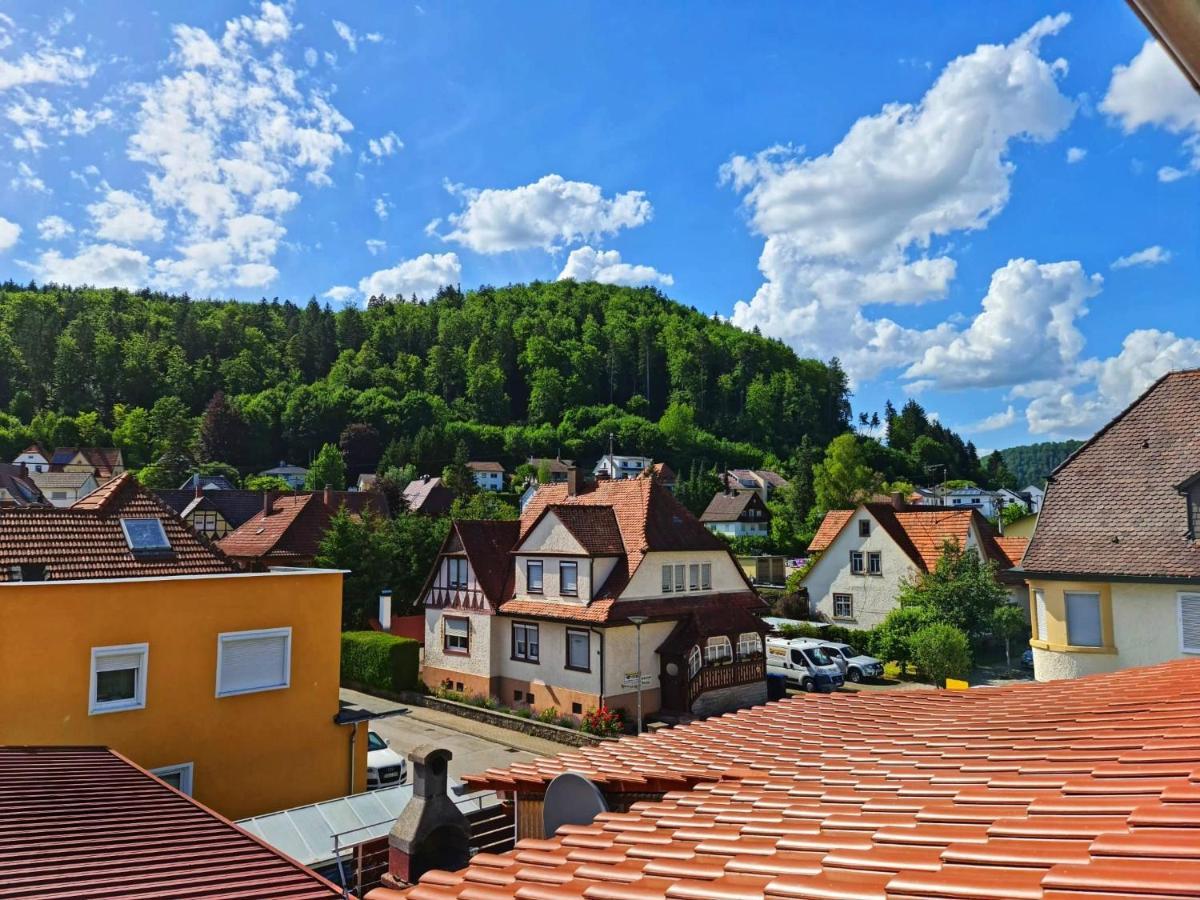 Pension Transilvania Immendingen Exterior photo
